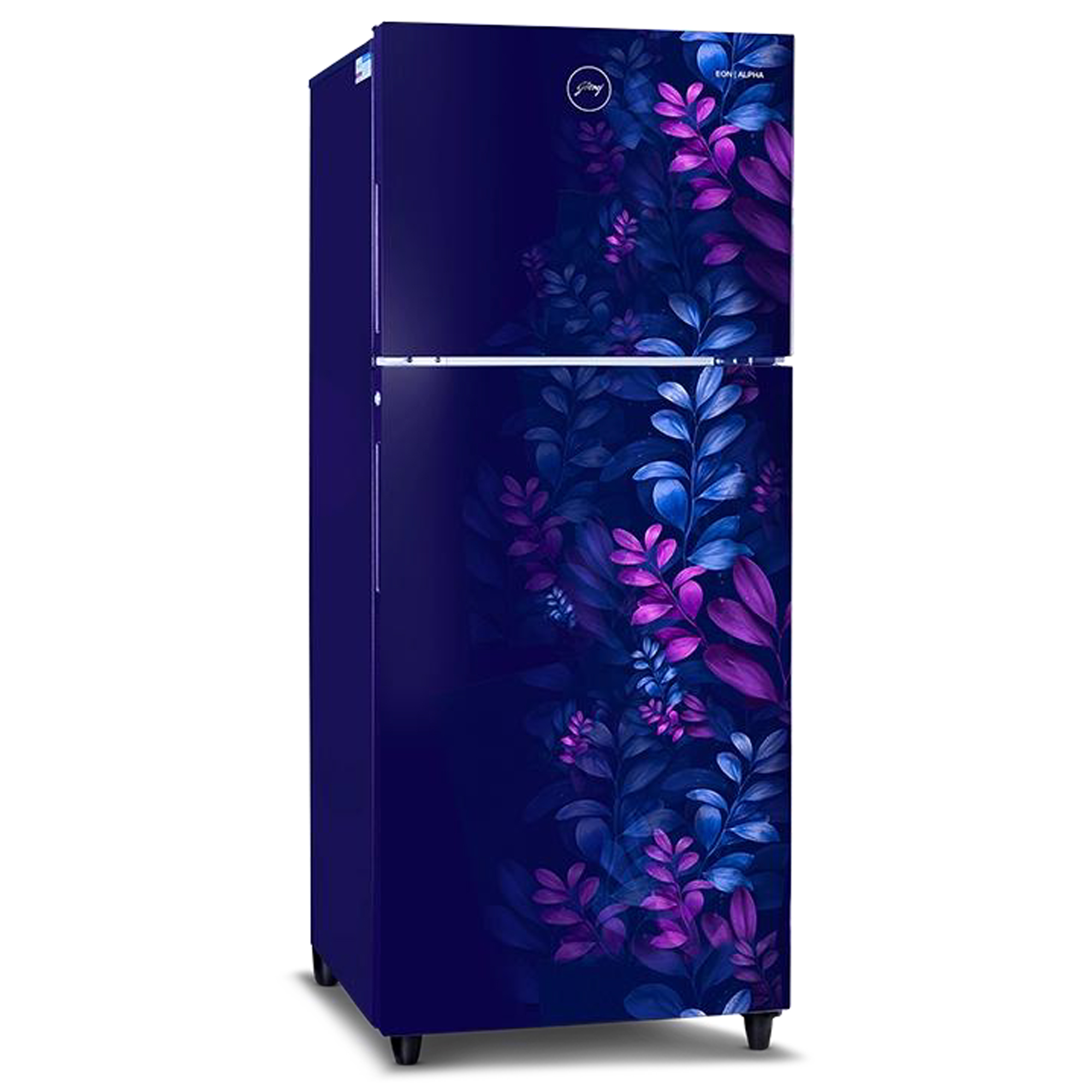 Godrej 258 Liter Double Door Refrigerator (RTEON ALPHA 270BN RI AR BL) model RTEON ALPHA 270BN RI AR BL front view - GharOne Nepal